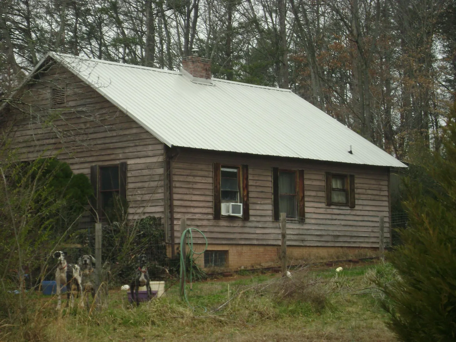 White metal roof on an old wood sided farmhouse, from a Asphalt Shingle Roof Repair job in Kellogg